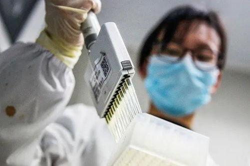 国外土豪打国产疫苗视频,一场跨国疫苗接种的视觉之旅