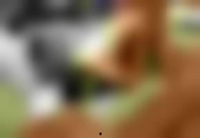 免费国产欧美视频在钱,畅享视听盛宴的秘密通道