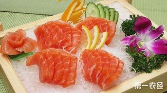 国产三文鱼上市视频下载,新鲜美味，国产之光