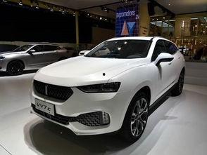 国产suv滤震测评视频,测评视频深度解析